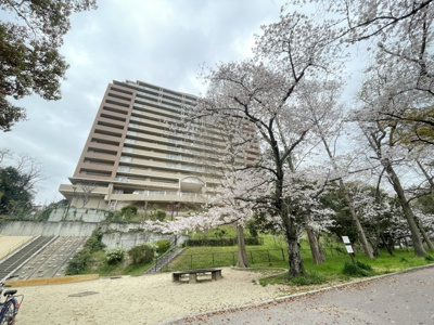【外観】 | ロイヤルアーク泉ヶ丘 | 桜の季節の外観