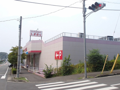 ファッションセンターしまむら東所沢店まで290ｍ