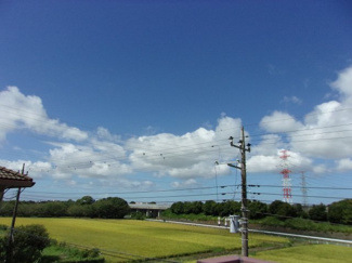 【展望】