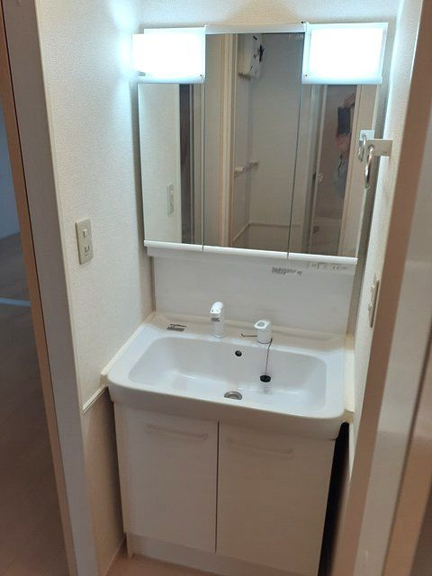 メゾンラルジュBの洗面所