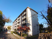 逆瀬川19号棟の画像
