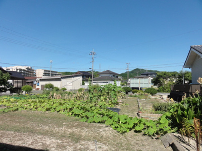【外観】 | 田布施波野土地