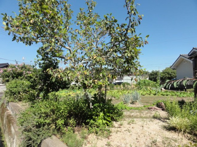 【外観】 | 田布施波野土地