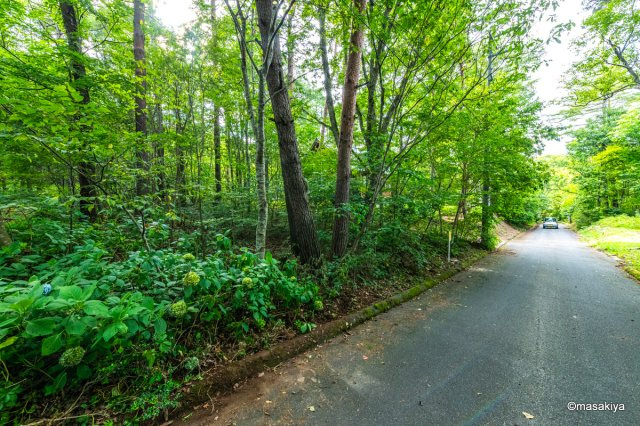 飯綱町高坂土地　サニーハイランド内