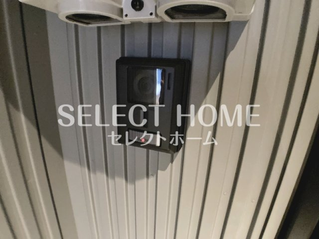  | Ａｎｔ’ｓ（アンツ）