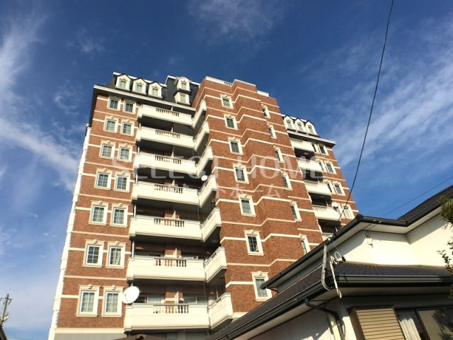  | コメルスⅤ