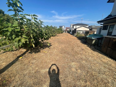 【外観】 | 愛媛県今治市高橋 畑・農地用地