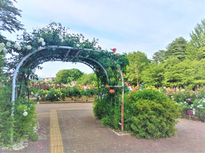 与野公園まで55ｍ