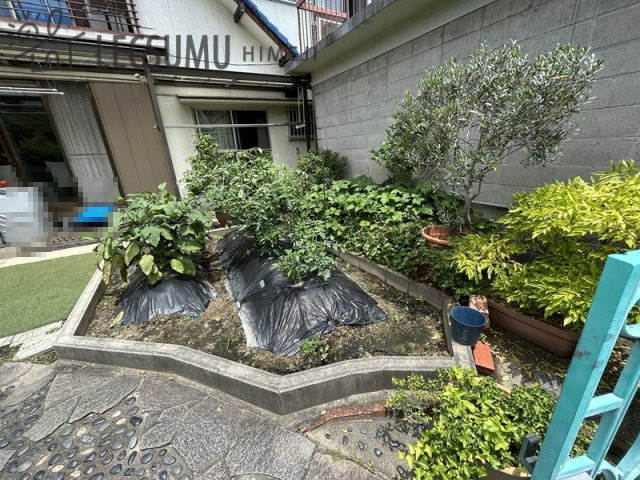 姫路市菅生台／中古戸建の庭