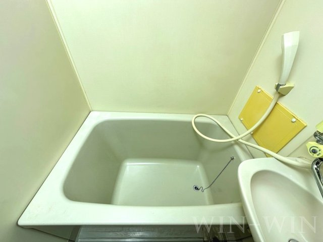 メゾンサマーアイの浴室