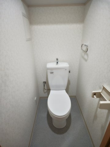 Mansion Graceのトイレ|落ち着いた色調のトイレです