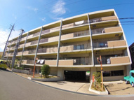 Minoo Hillsの画像