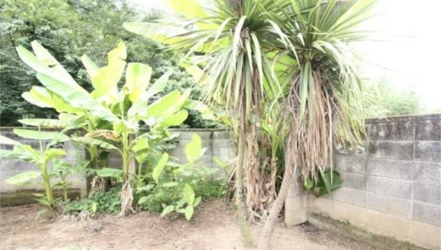 足利市名草上町の中古一戸建の庭