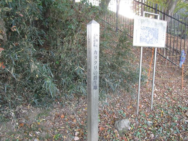 東松山市西本宿　土地176坪の周辺