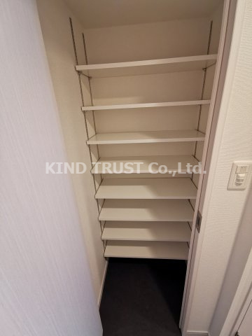 セオリー天神橋アベニールの収納|収納豊富です