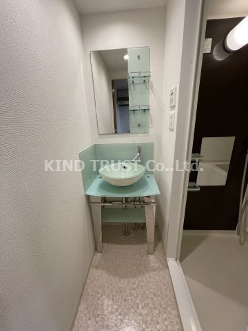 レジュールアッシュ梅田アクシアの洗面所