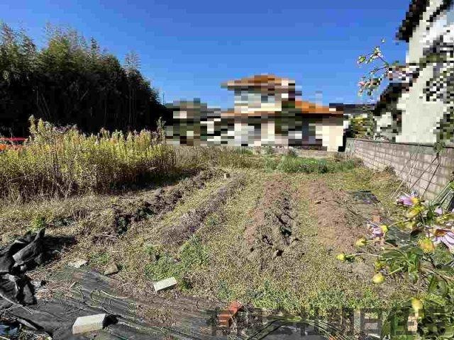 【外観】 | 南平台売土地 | 土地内の様子です