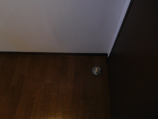 グランシード中島の内装