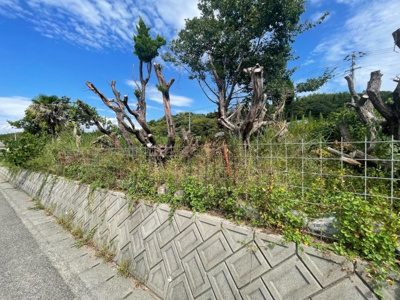 【外観】 | 愛媛県今治市波方町西浦 別荘用地