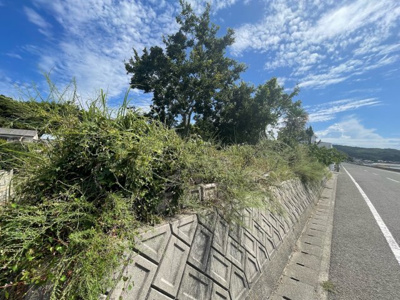 【外観】 | 愛媛県今治市波方町西浦 別荘用地