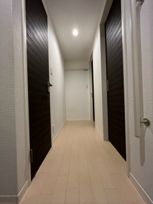 【展望】 | Premio【SHM】