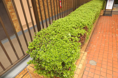 【庭】 | ライオンズマンション鶴川 | 物件によっては、入居者が個人的に使用できる専用庭がついているものもあります。また、住宅の中にある土間の部分を庭と呼ぶこともあります。庭の用途は住む人によって変わり、それによってデザインもさまざまです。