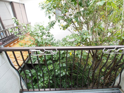 【その他】 | ＡＰＡＲＴＭＥＮＴのだめ