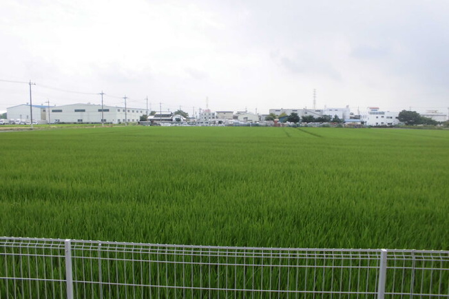【展望】 | フランボワーズ