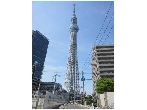 向島ハイツ　3階　角　部屋　リ　ノベーション済の周辺