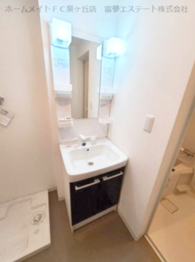 【独立洗面台】 | フェリーチェ石津