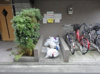 【その他共用部分】リクエスト秋葉原 