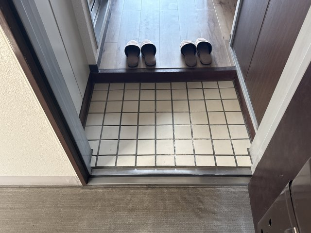 ベルトピア手柄Ⅴの玄関