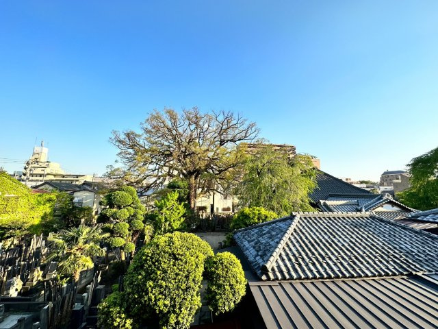 【展望】
