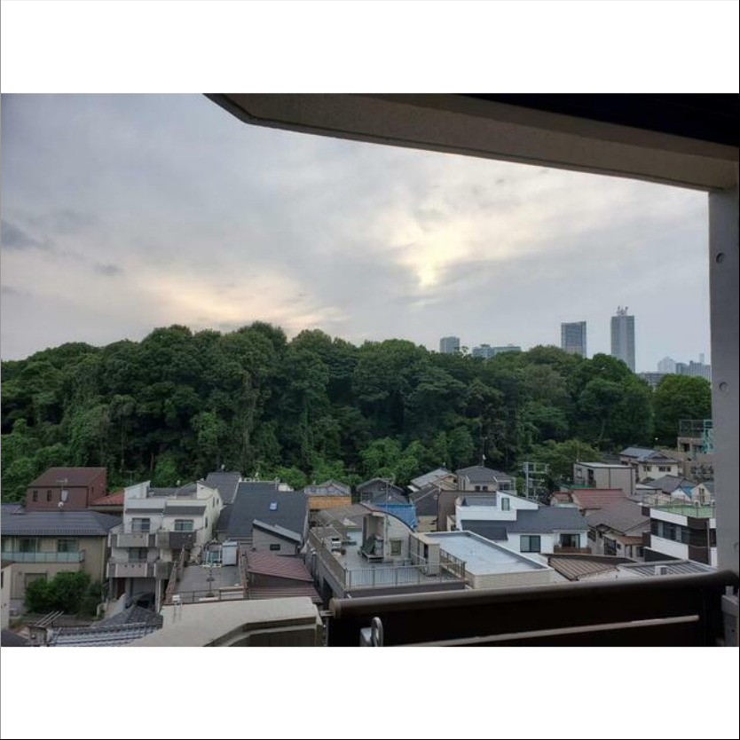 【展望】