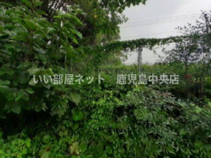 東南側境界（高千穂牧場側方角）