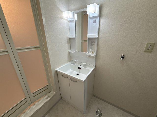 フレグランス坂上の洗面所