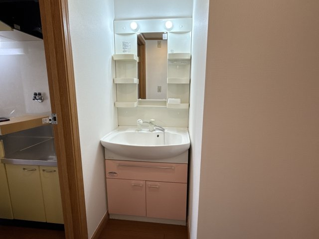 メゾンみおの洗面所