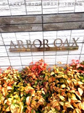 【エントランス】 | アーバーオークス