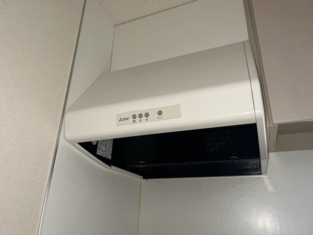 セファミ太子のその他