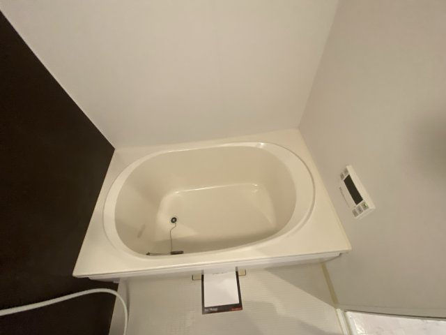 メゾン・フローラⅡの浴室