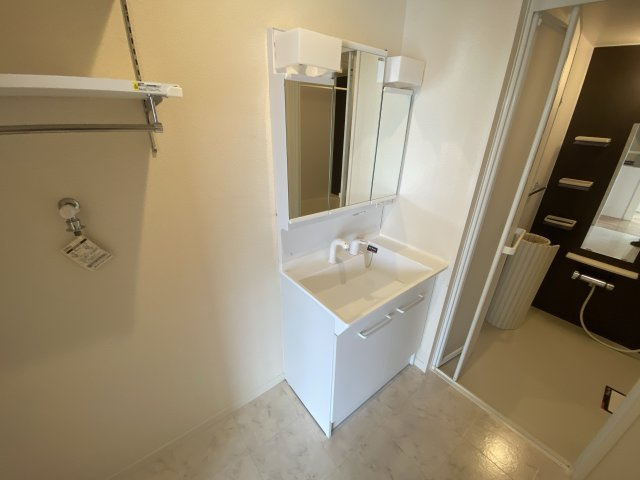 メゾン・フローラⅡの洗面所