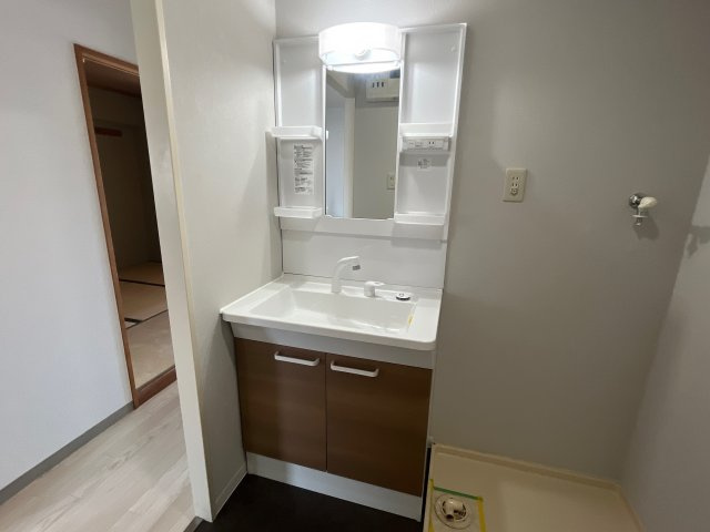 メゾン・ド・アルシュの洗面所