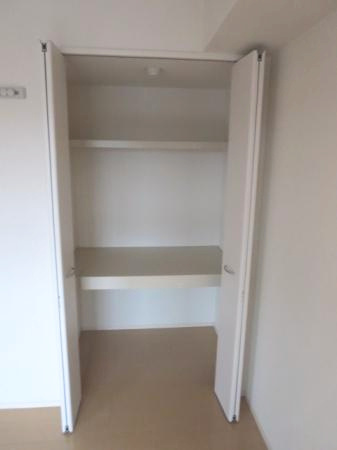 スタースレイプの収納|南側洋室収納