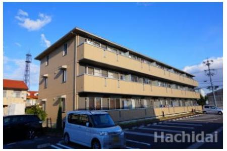 スタースレイプの外観