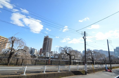 【展望】 | Sakura Riant