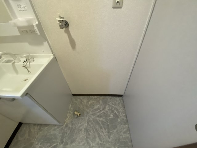 ディアスタツノのその他