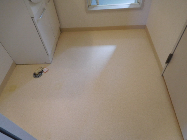 ディアスタツノのその他