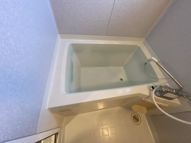 ディアスタツノの浴室