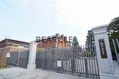 【展望】 | メゾン・プルメリア