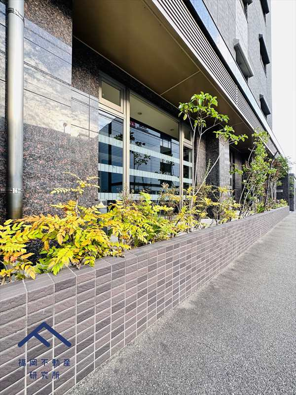 アルファライフ博多南のその他共用部分|綺麗に管理されている植栽です